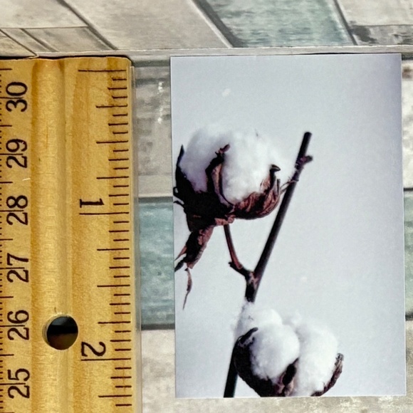 🌀10/$10🌀 White Dream Reusable Washi Sticker Decal - Picture 1 of 1